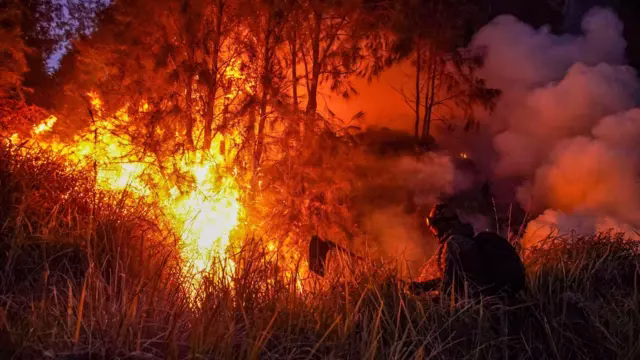 Ancaman Kerusakan Hutan Meningkat, DPR RI Desak Tambahan 70 Ribu Polhut